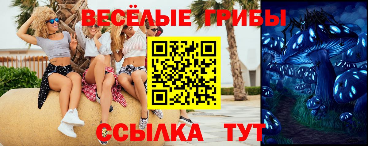 наркотики  Вход с VPN  Гулькевичи  Псилоцибиновые грибы Psilocybine cubensis 