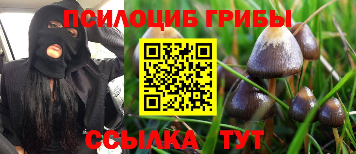 Псилоцибиновые грибы GOLDEN TEACHER Гулькевичи